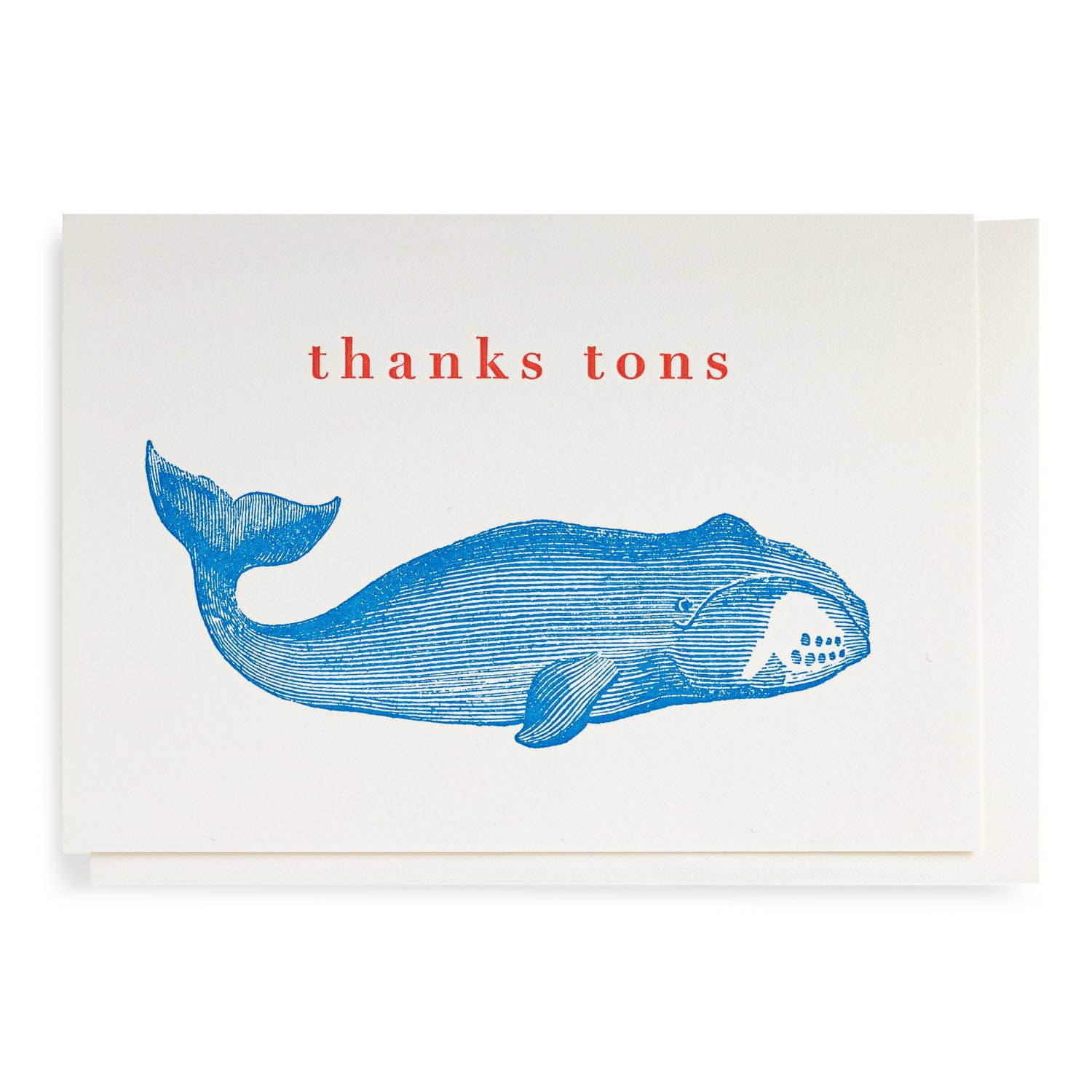 HereThe Thank You Whale | Letterpress Cards | Small Cards
