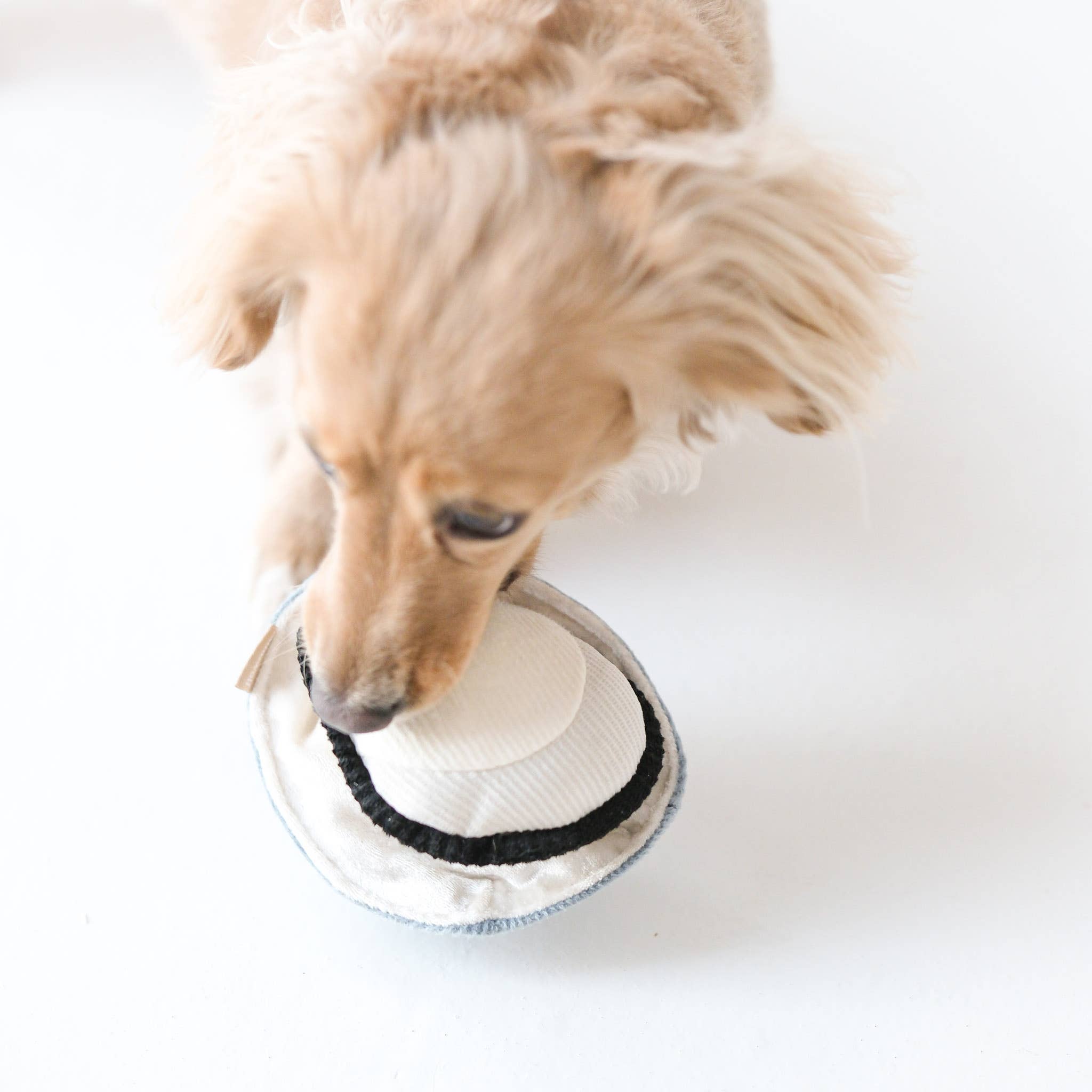 HereThe GILLARDEAU//ENRICHMENT DOG TOY